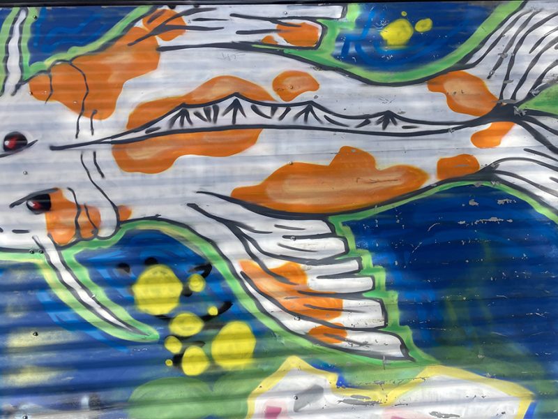 An orange spotted goldfish painting against a blue background.