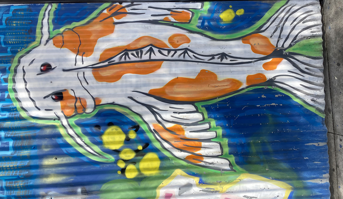 An orange spotted goldfish painting against a blue background.