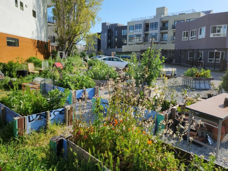 The parcel 36 garden alongside parked cars.