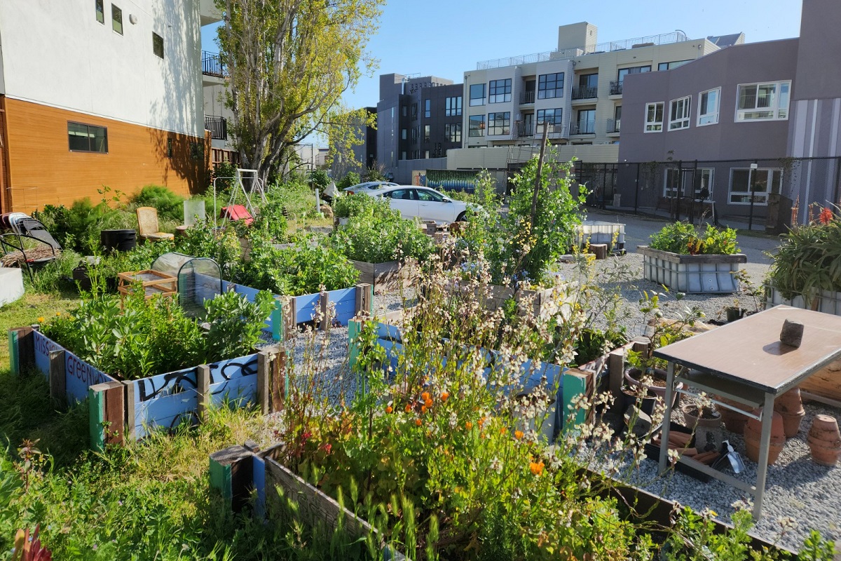 The parcel 36 garden alongside parked cars.