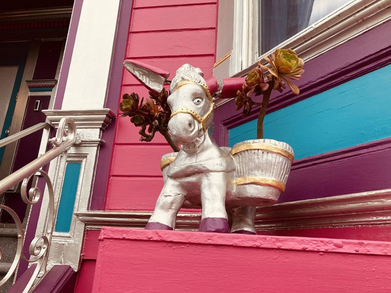 A small burro sitting on a window ledge of a very pink house.