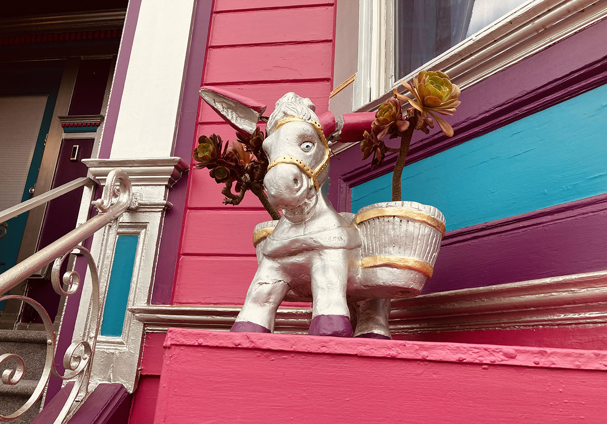 A small burro sitting on a window ledge of a very pink house.