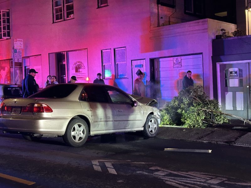 A sedan is parked perpendicular and appears to have mowed down a tree on the sidewalk. They are surrounded by cops.