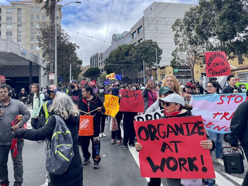 a large group of people walking