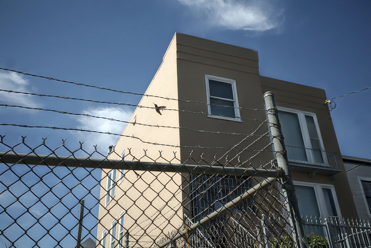 A hummingbird near a barbed wire fence, with a building in the background.