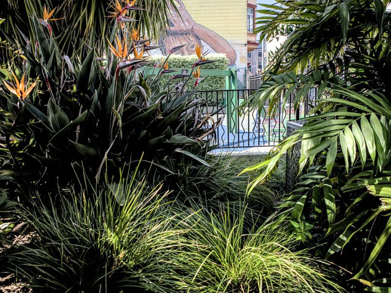 Palm trees with the figure of a child's face on a mural peeking out behind them.