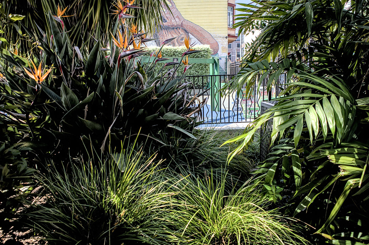 Palm trees with the figure of a child's face on a mural peeking out behind them.
