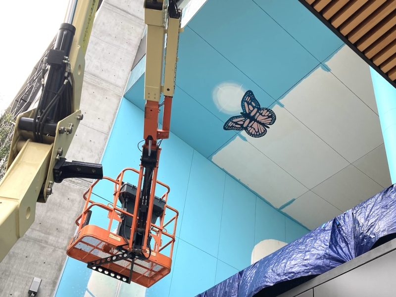 butterfly painting on ceiling
