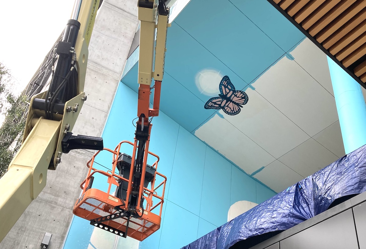 butterfly painting on ceiling