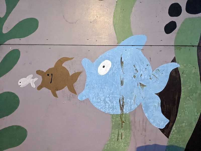 A mural of three fish in a row, starting small pink, medium brown and large blue