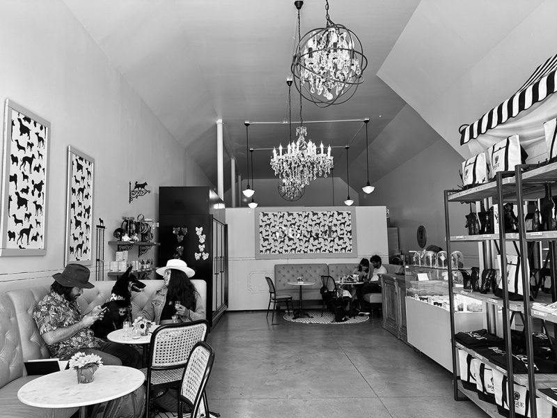 An interior of a cafe with two people and a dog at a round corner table.