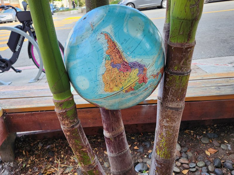 A globe of the world in a pocket formed by three branches.