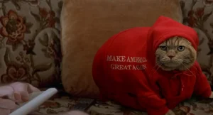 A cat in a red hoodie sitting on a couch.