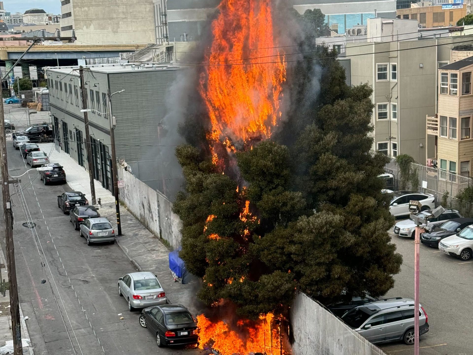 A tree, tent and car are on fire on a street in San Francisco, California.