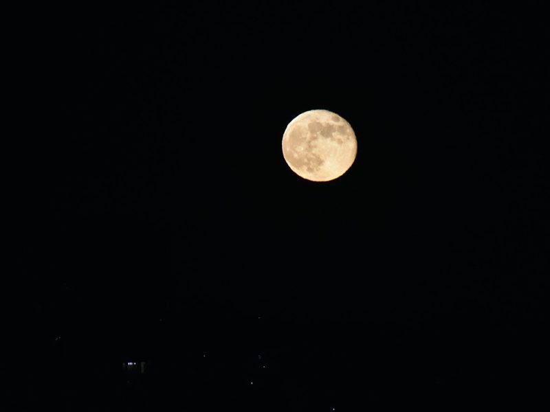 A full moon is seen in the night sky.