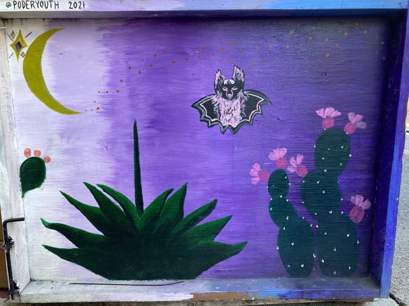 A purple door with a bat and cactus painted on it.
