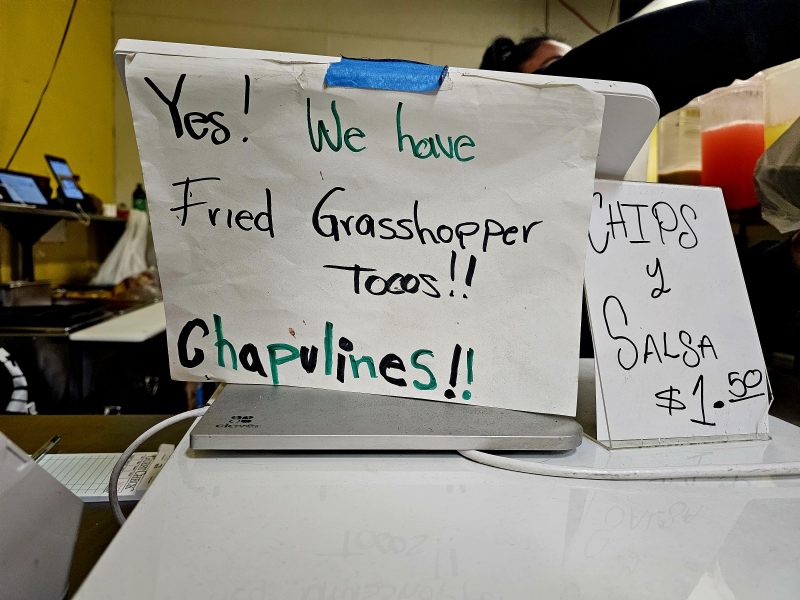 A sign that says yes we have fried grasshopper tacos.