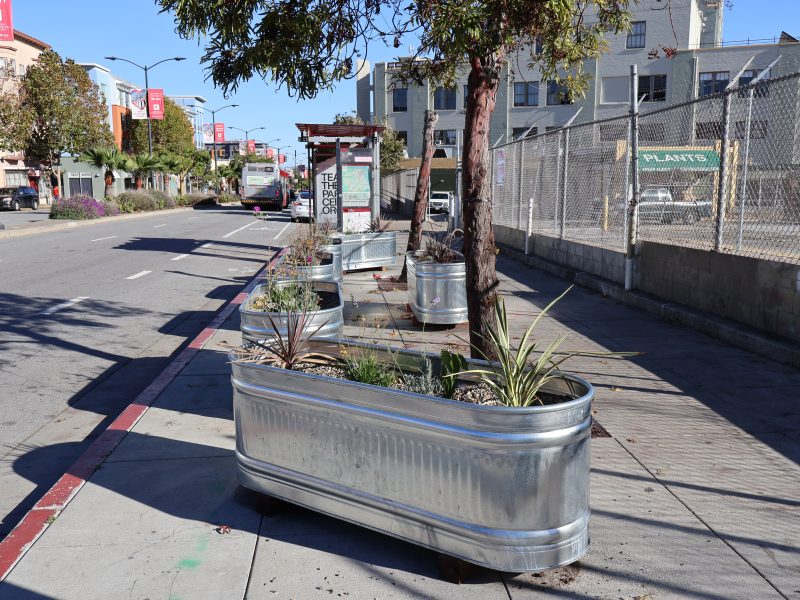 A planter on the side of a sidewalk.