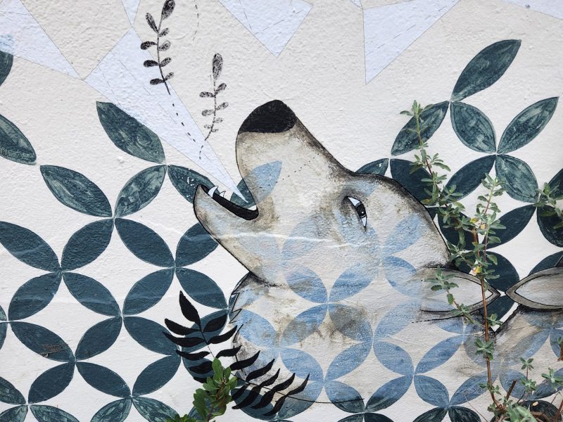 A mural of a wolf on a wall.