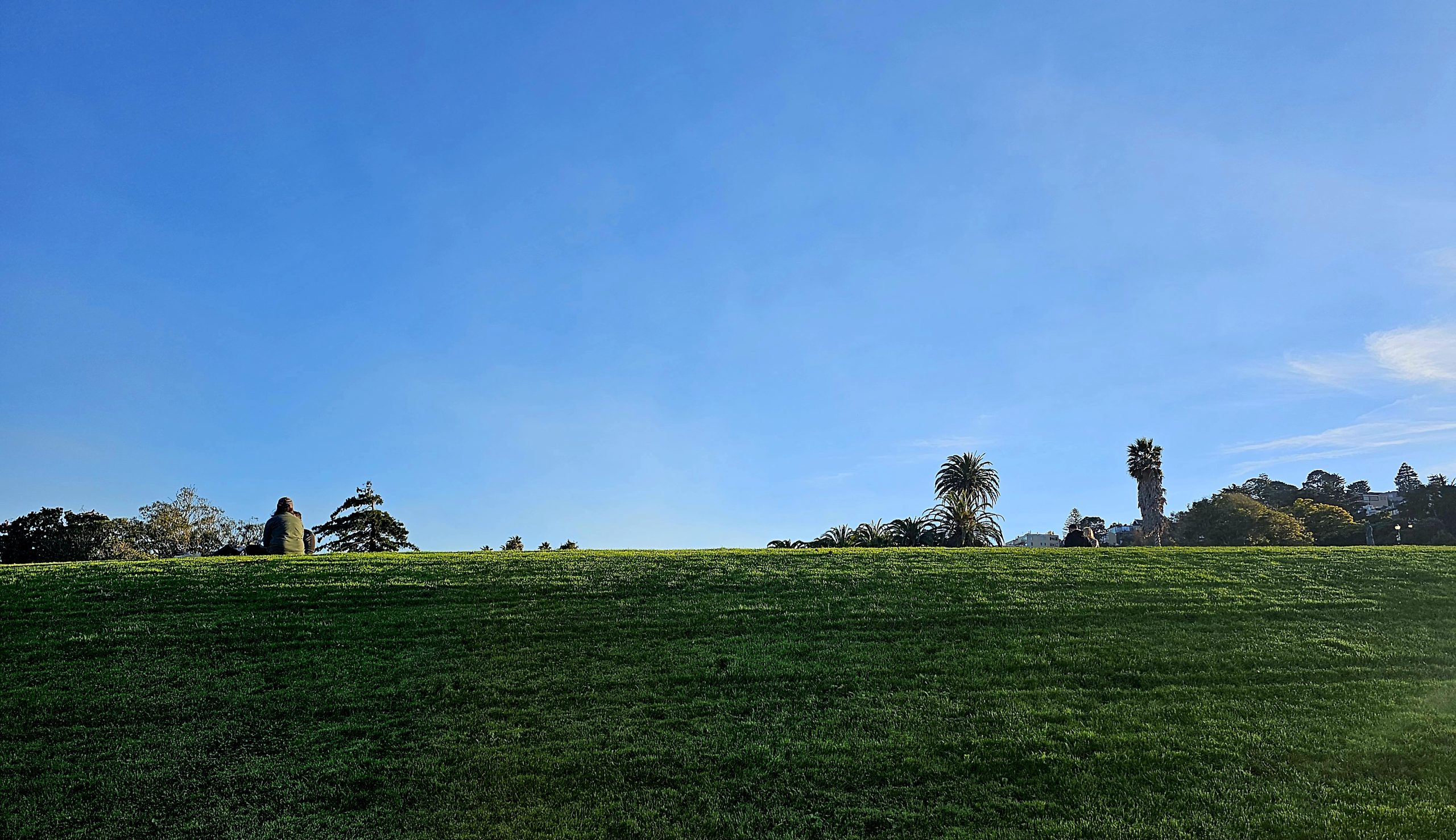 A green field under the blue sky with a few people sitting at a distance on the grass.