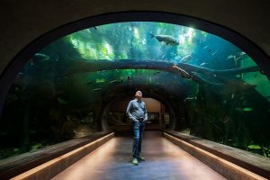 A man standing in an aquarium tunnel.