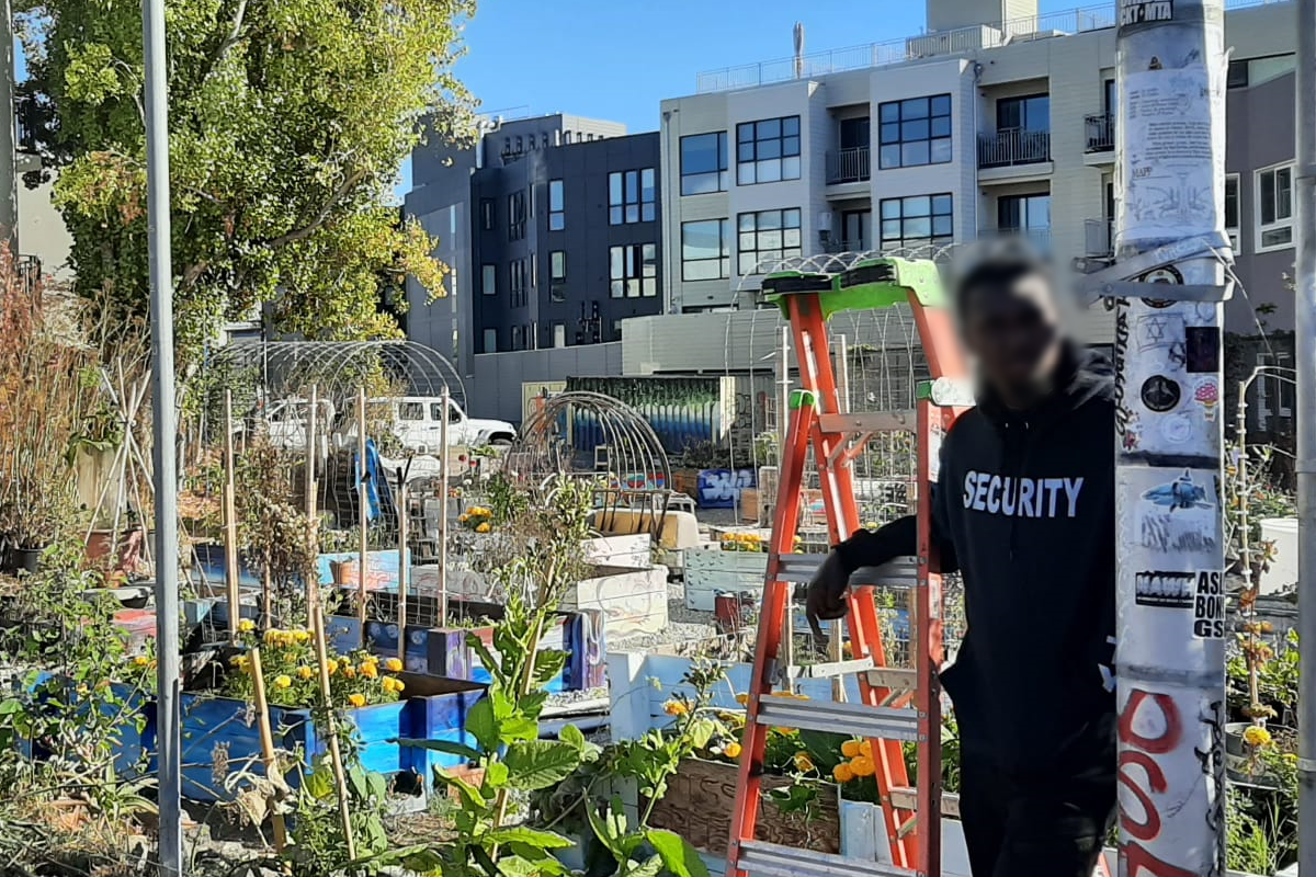A man standing on a ladder next to a garden.