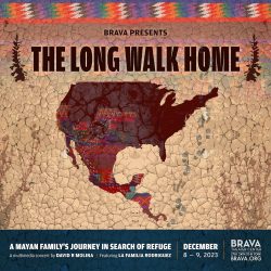 The long walk home poster.