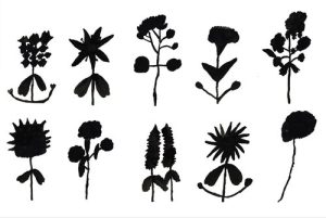 A set of silhouettes of different types of plants.