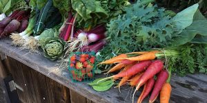 A variety of vegetables are sitting on a wooden table.
