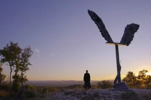 A man standing in front of a large sculpture at sunset.