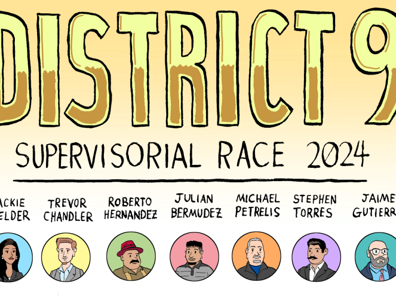 District 9 supervisory race 2024.