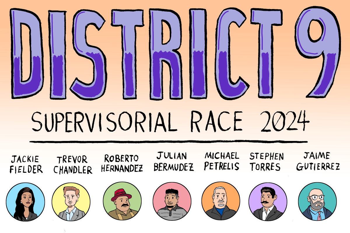 District 9 supervisory race 2024.