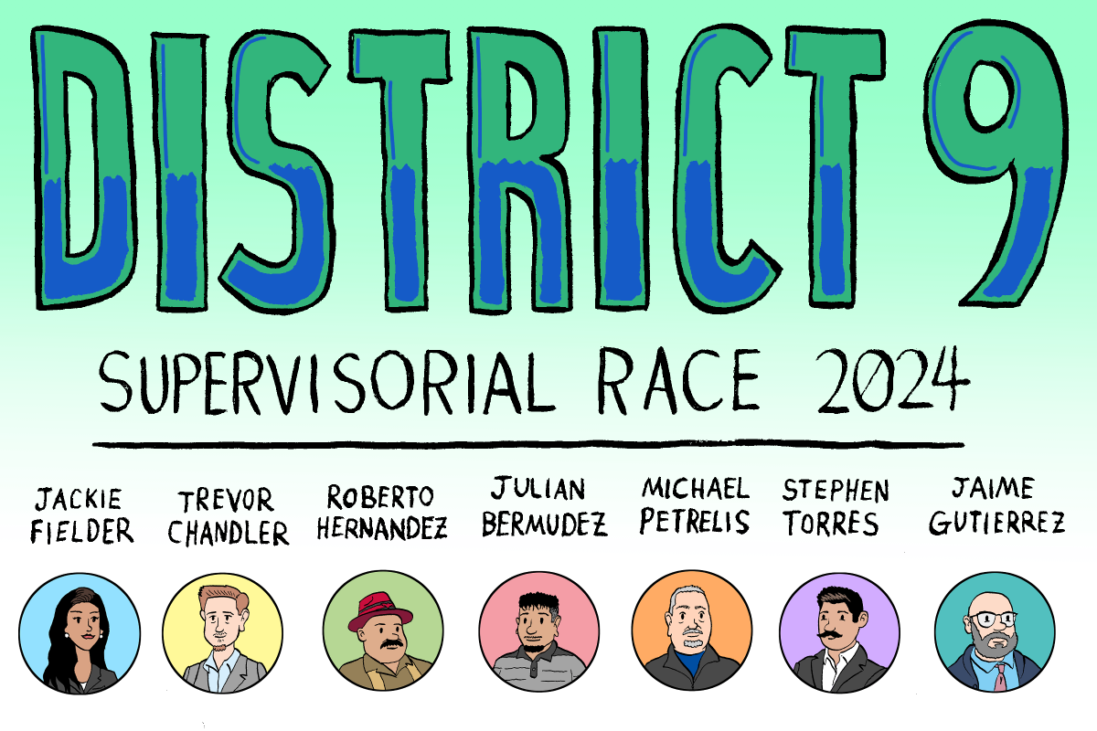 District 9 supervisory race 2024.