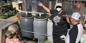 A group of people standing next to a group of barrels in a garden.