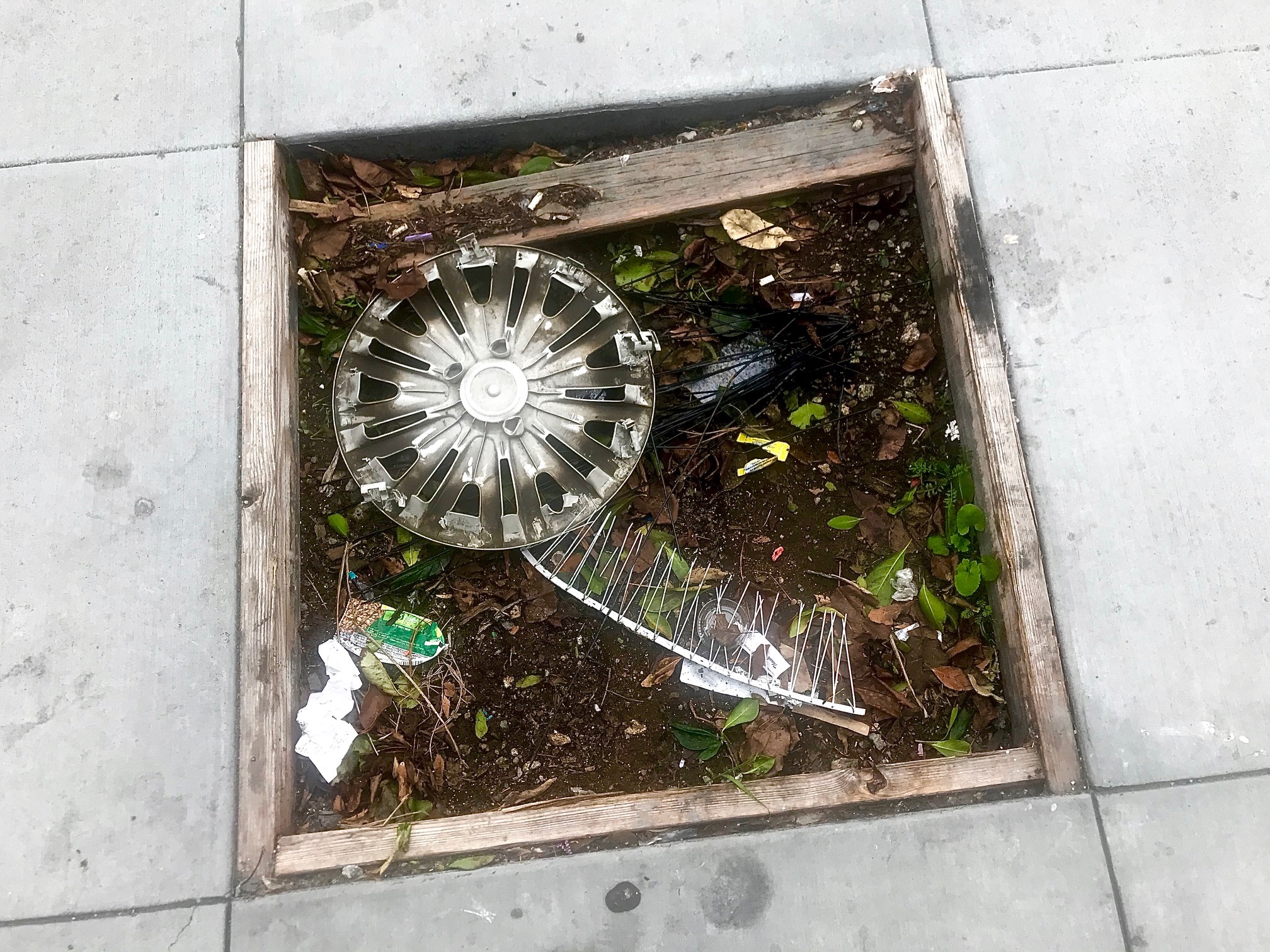 A wheel is sitting in a planter on the sidewalk.