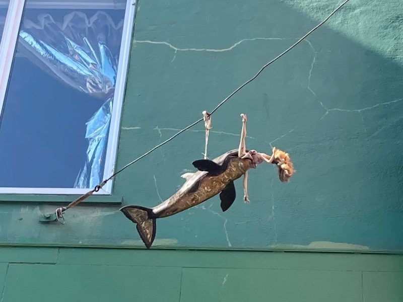 A toy whale eating a doll suspended on wires against a green wall, beside a window with a reflected image.