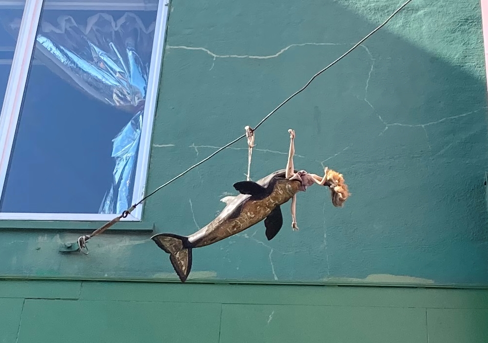 A toy whale eating a doll suspended on wires against a green wall, beside a window with a reflected image.
