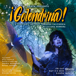 Promotional poster for "igolondrina!" a theatrical production by brava, featuring a vibrant image of a woman and a flying swallow, with event details for march 3-4, 2024.