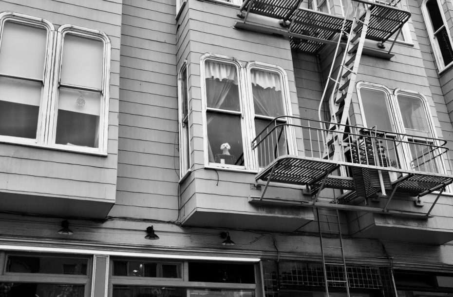A black and white photo of a building. A dog is sitting at the window with a fire escape next to it, looking out.