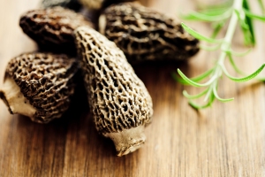 Dried morel mushrooms accompanied by fresh herbs on a wooden surface.