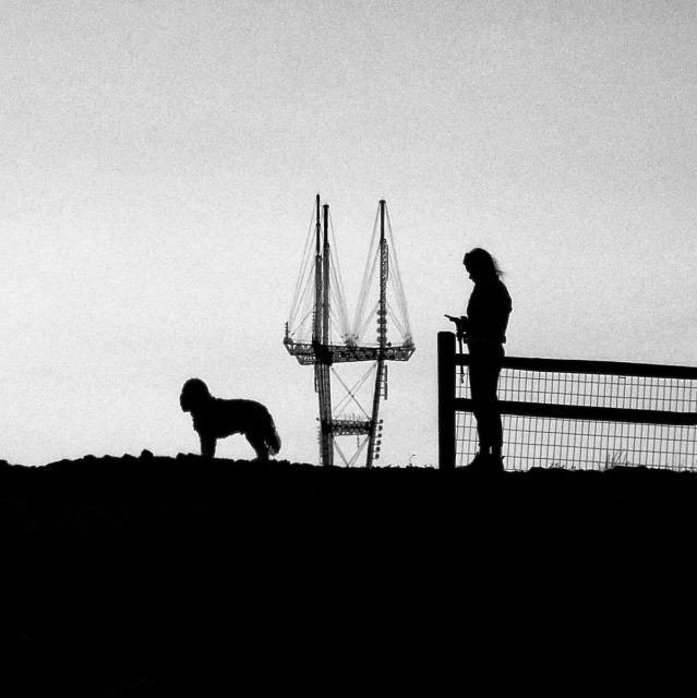 Silhouetted person and dog by a fence with Sutro Tower in the background at dusk.