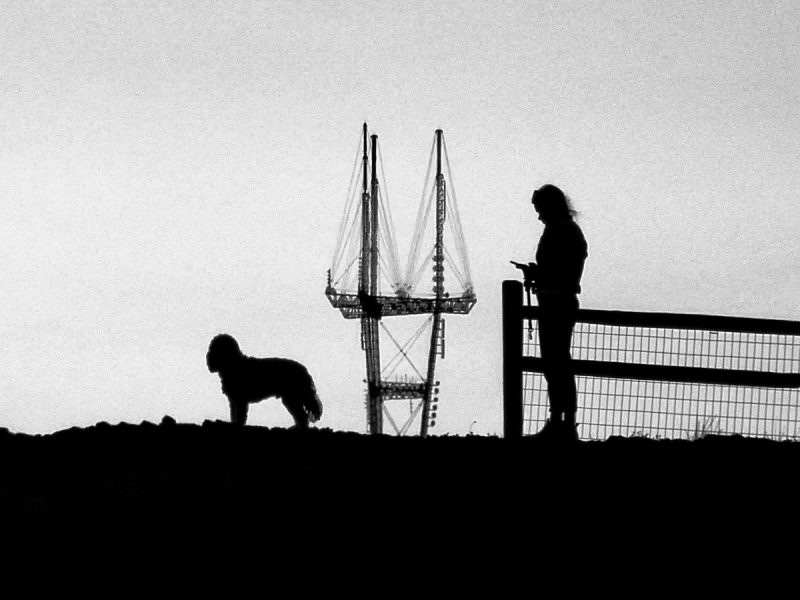 Silhouetted person and dog by a fence with Sutro Tower in the background at dusk.