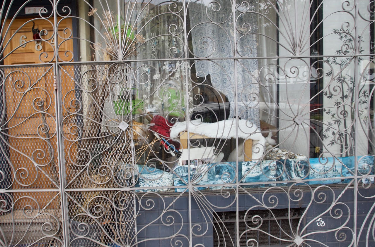 Decorative metal bars in front of a window, a black cat is sitting by the window.