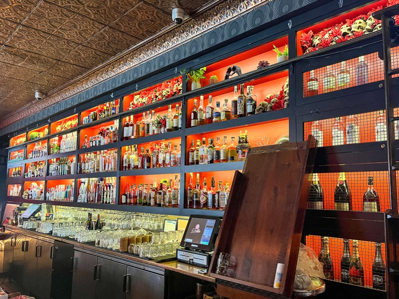 A vibrant bar with a backlit wall displaying an array of liquor bottles, accented by floral decor, under a decorative metal ceiling.