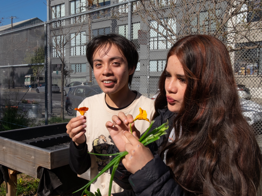 Tasting nasturtiums in the O'Connell High School garden.
