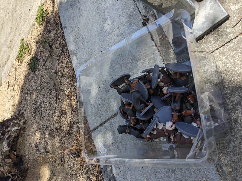 Clear plastic storage bin on a sidewalk filled with several small, dark brown plastic toy dogs.