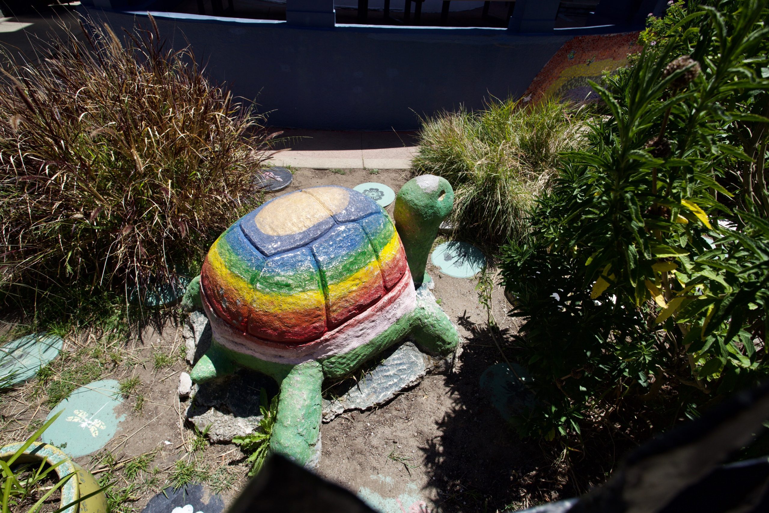 A colorful, large turtle sculpture is situated in a garden, surrounded by plants and grass. The turtle's shell is painted in rainbow colors.