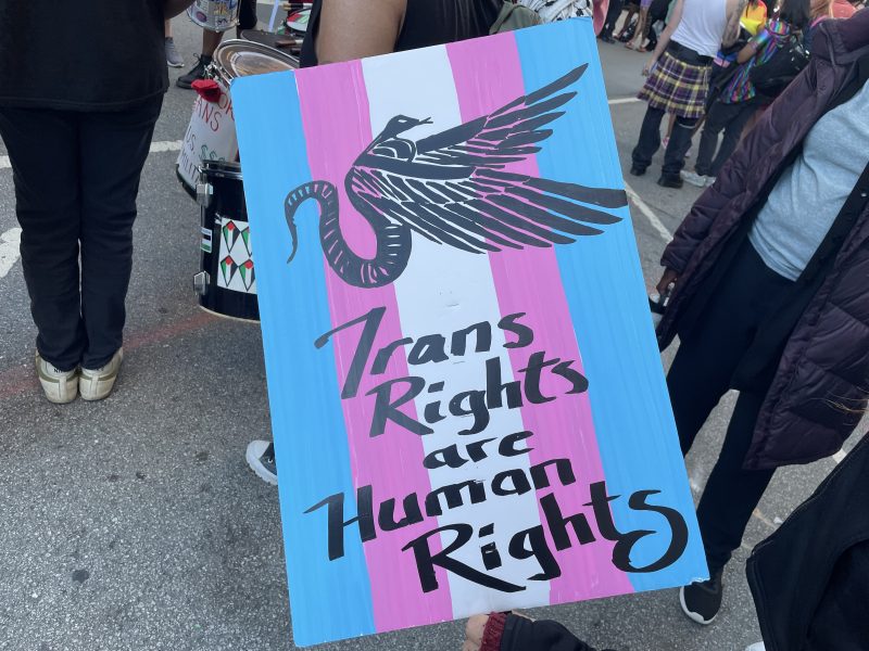 A sign reading "Trans rights are human rights" on a trans flag poster