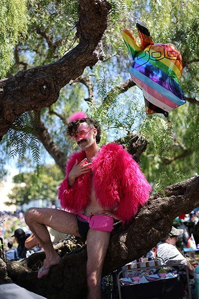 Person with curly hair and mustache in pink fur jacket and shorts sits on a tree branch with a rainbow flag, against an outdoor backdrop with onlookers and greenery.