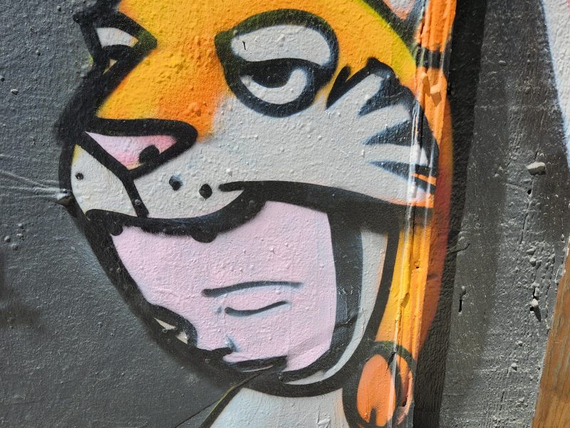 A mural on a concrete wall depicts a cartoon-style tiger face with vibrant orange, white, and black colors. The tiger has a mischievous expression and colorful shading.